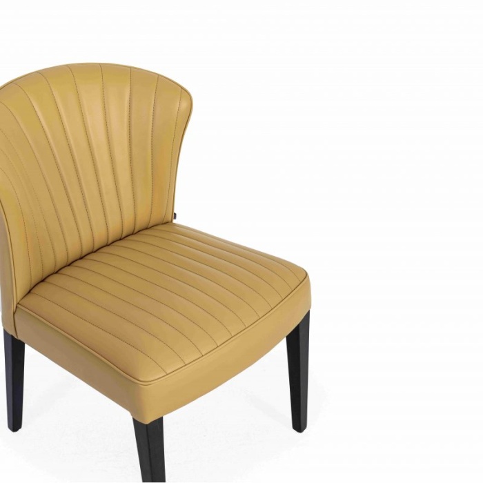 image freda / stri̇pe 2