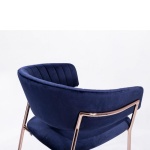 Image HARLEY / STRIPE 1