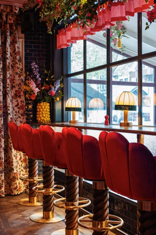 dscf9311 vsco 67c82da4b22ce - horeca chairs