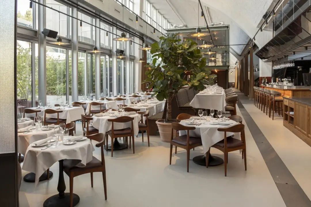 Birdies Oplevering Laag 19.webp - horeca chairs