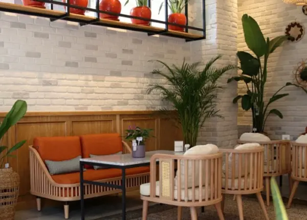 LEAF CO 1 1 - horeca stoelen voor particulieren