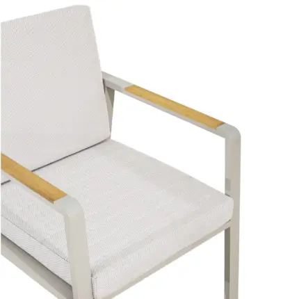BENNY 5 Kopya Scaled - lounge stoelen horeca
