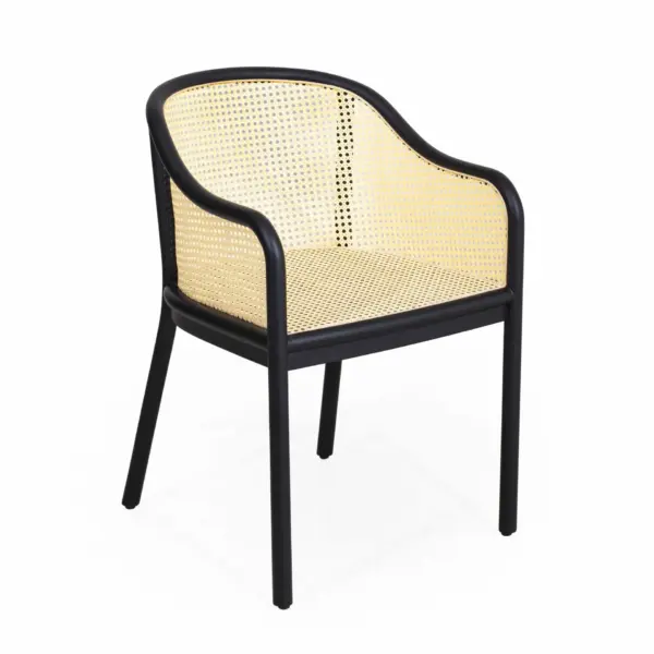 REHANU WICKER 3 Scaled - terrasbanken