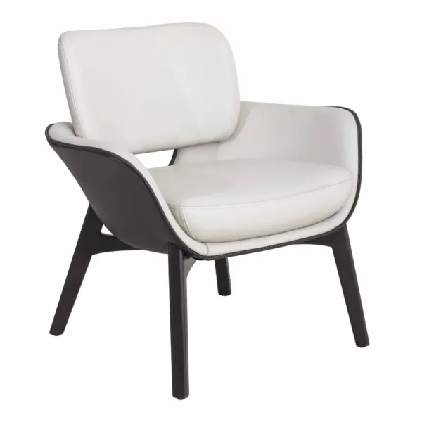 ROOP 1 Scaled - lounge stoelen horeca