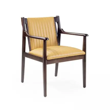 Urun Cristiana Stripe Ic Mekan Sandalyei 04 - lounge stoelen horeca